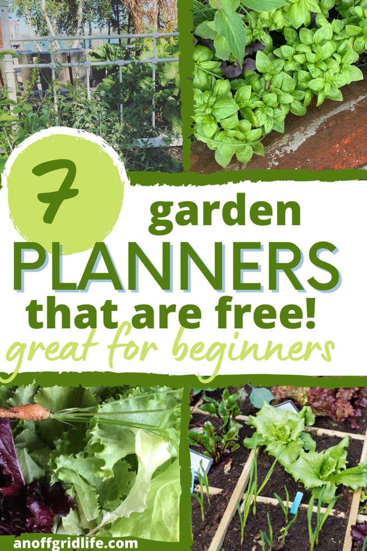 7 free vegetable garden planners text overlay on images of vegetables in gardens. Planning My Garden, Veg Garden Plan, Planning Your Vegetable Garden, How To Design A Vegetable Garden, Organize Vegetable Garden, Best Garden Planning Apps, Vegetable Garden Design Layout Planners, Plan Vegetable Garden, Easy Garden Layout