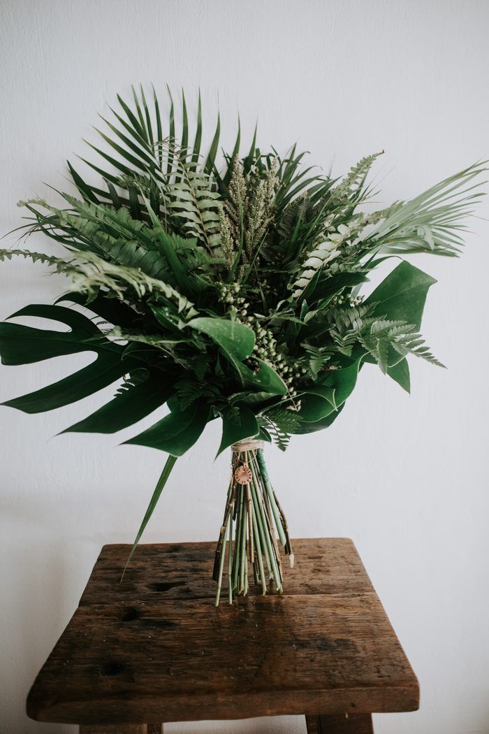 a bunch of green plants sitting on top of a wooden table