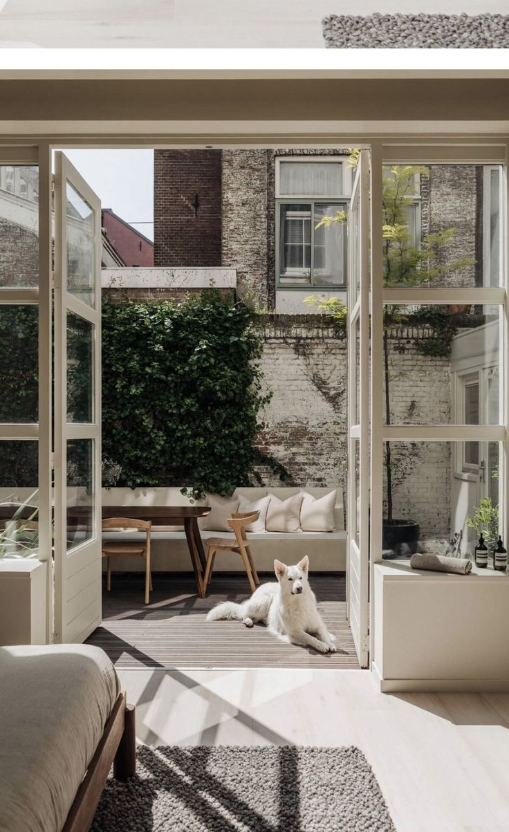 a white dog laying on top of a wooden floor next to a bed and windows