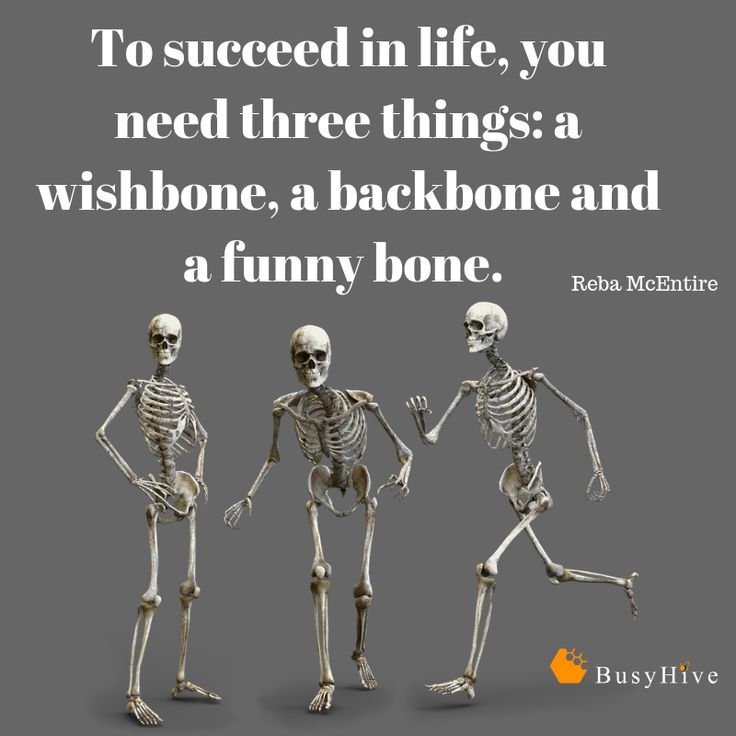 three skeletons with the caption to success in life, you need three things a wishbone, a backbone and a funny bone