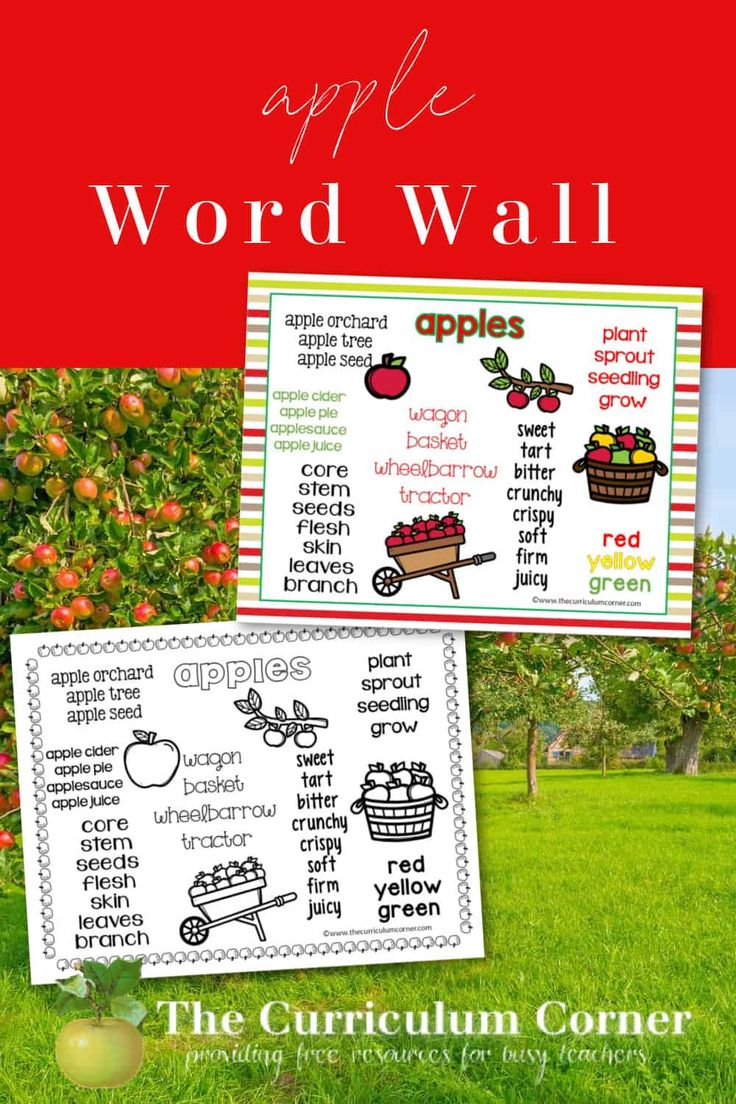 the apple word wall is shown in two different colors and sizes, with an apple tree behind it