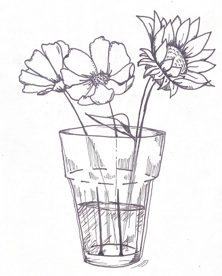 a drawing of flowers in a glass vase