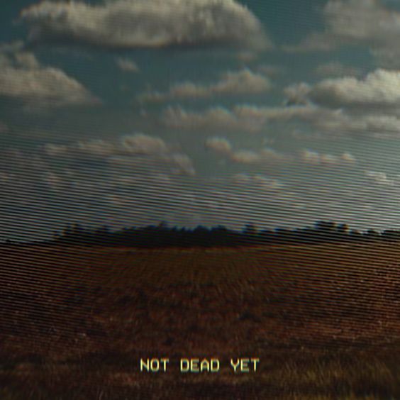 an image of a field with clouds in the sky and not dead yet written on it