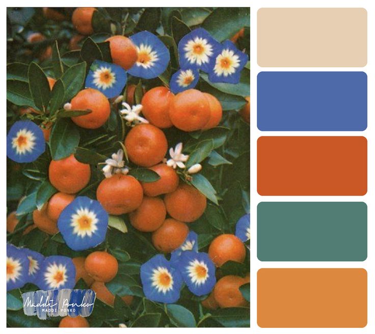 an orange tree with blue pansies and white flowers in the center is color swatches