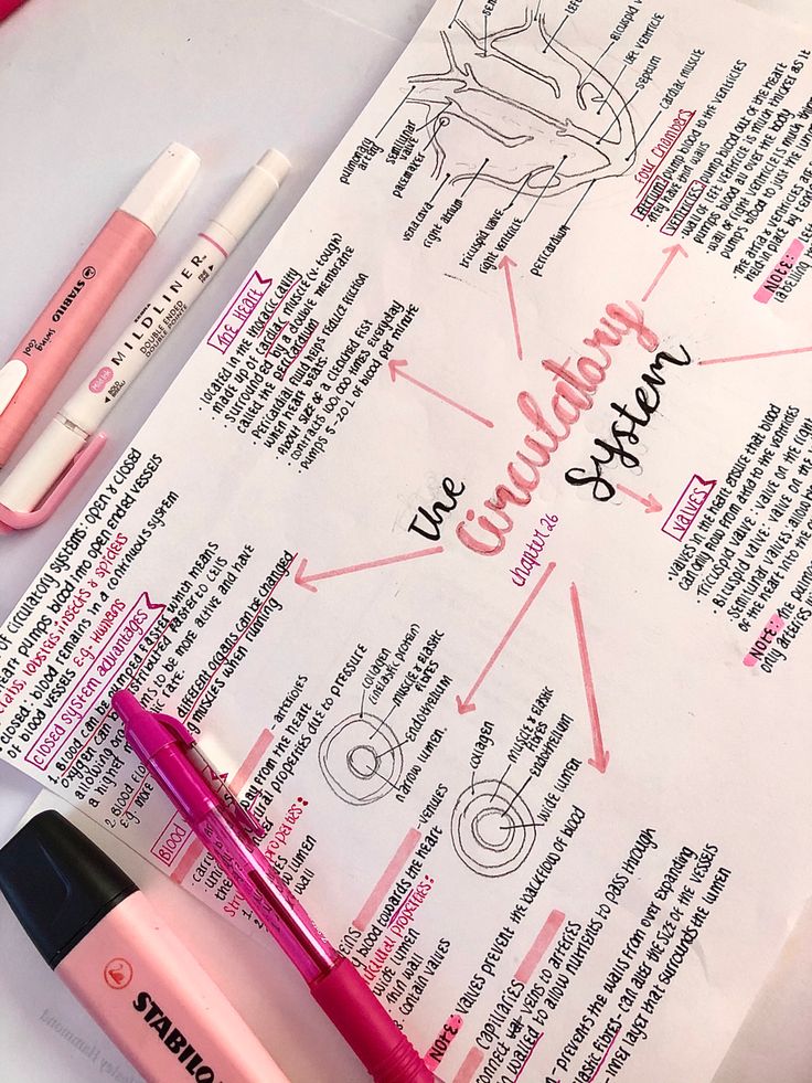 some pink pens are sitting on top of a piece of paper that has instructions for writing