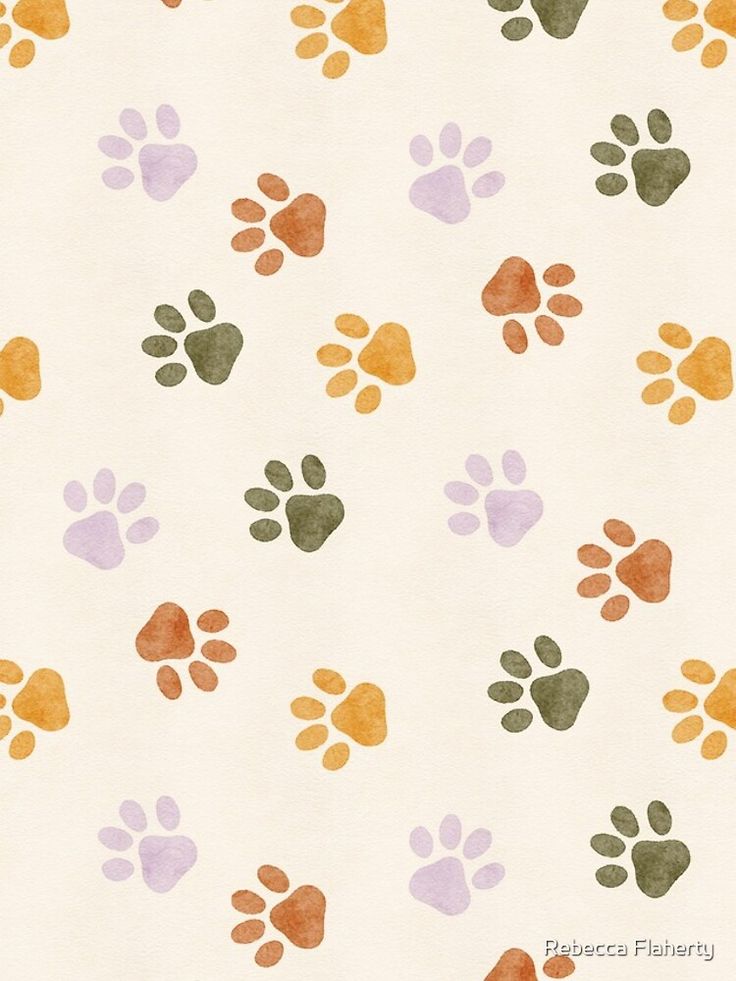 an animal paw print on white paper with orange, green and purple colors in the background