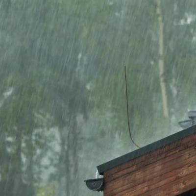 a bird sitting on top of a roof in the rain