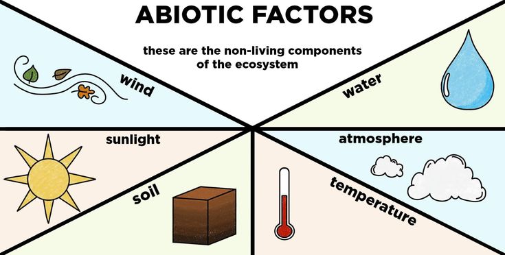 four different types of abiottic factor in the diagram below are labeled above and below