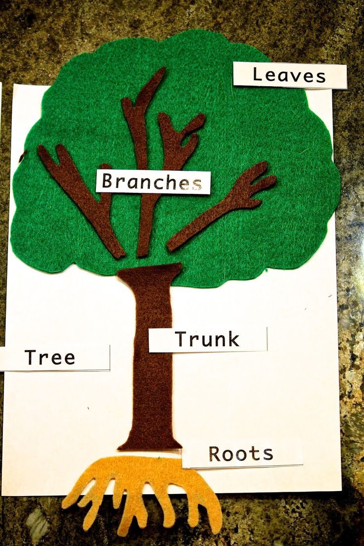 the parts of a tree cut out from paper