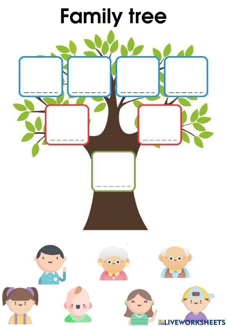 the family tree is shown with people around it