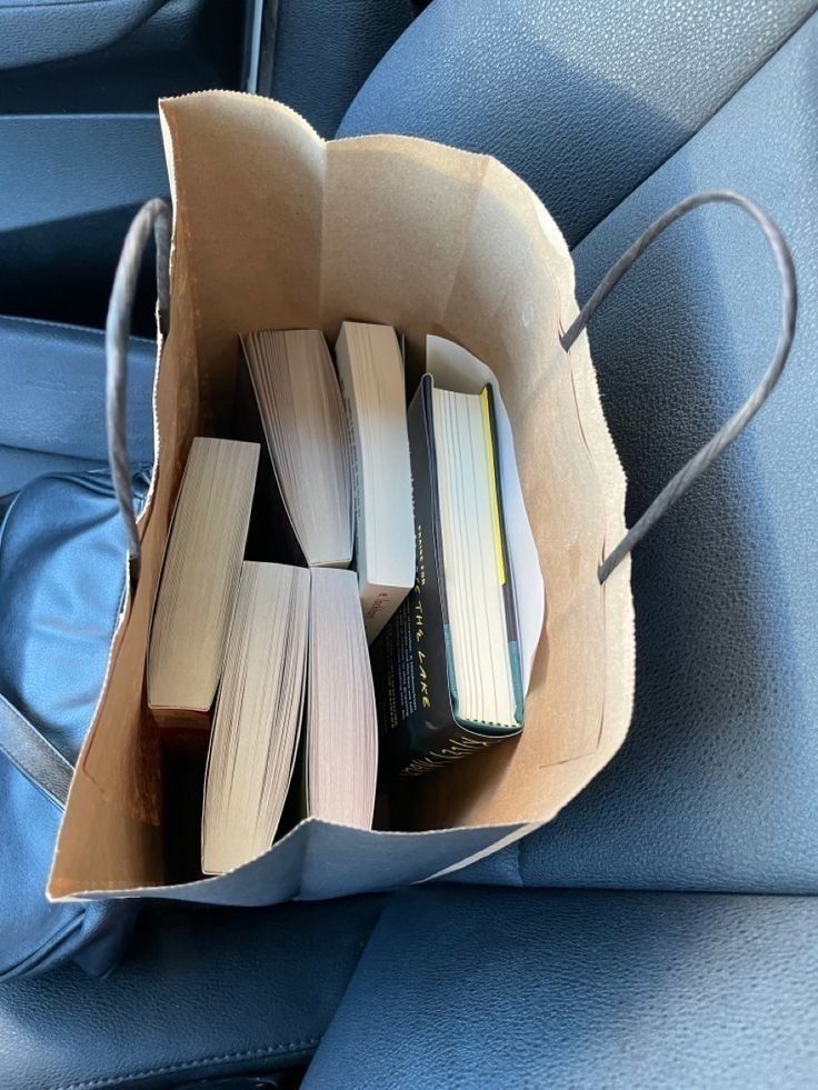 several books are in a paper bag on the back seat of a car