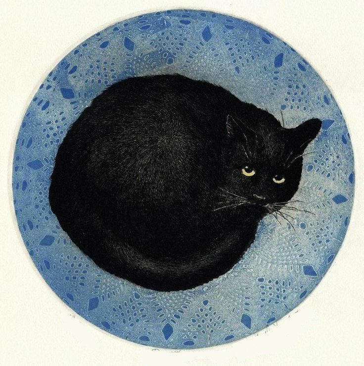 a black cat is sitting in a blue bowl