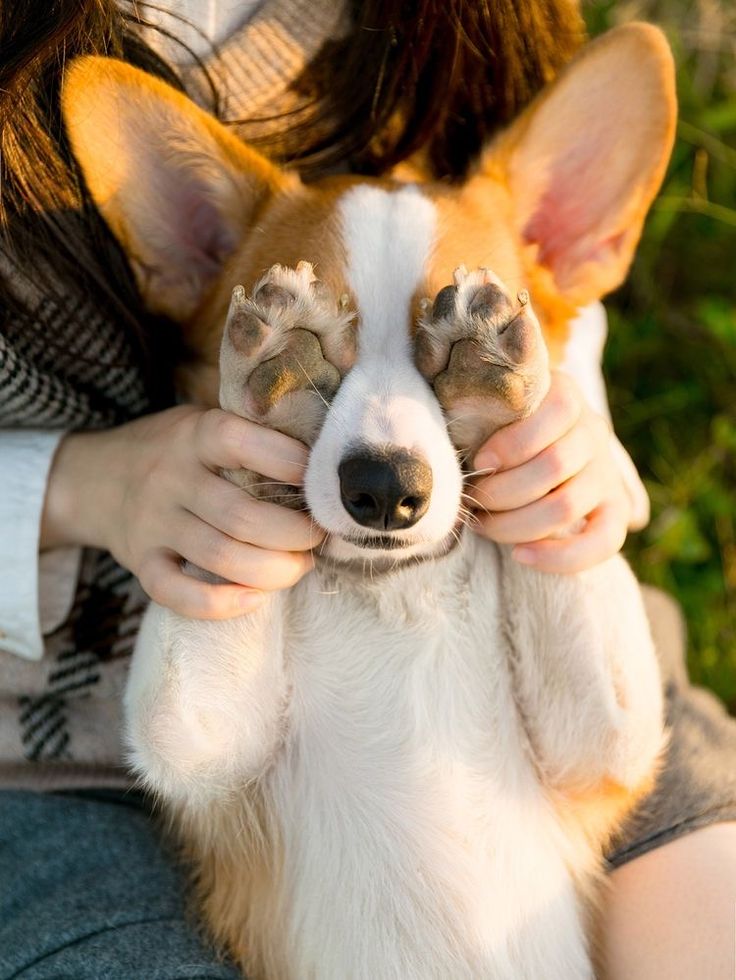 a woman holding a small dog in her arms with both hands on it's face