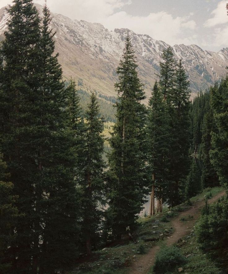 there is a trail in the middle of the woods with mountains in the background and trees on both sides