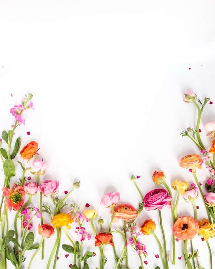 an arrangement of colorful flowers on a white background with space in the center for text