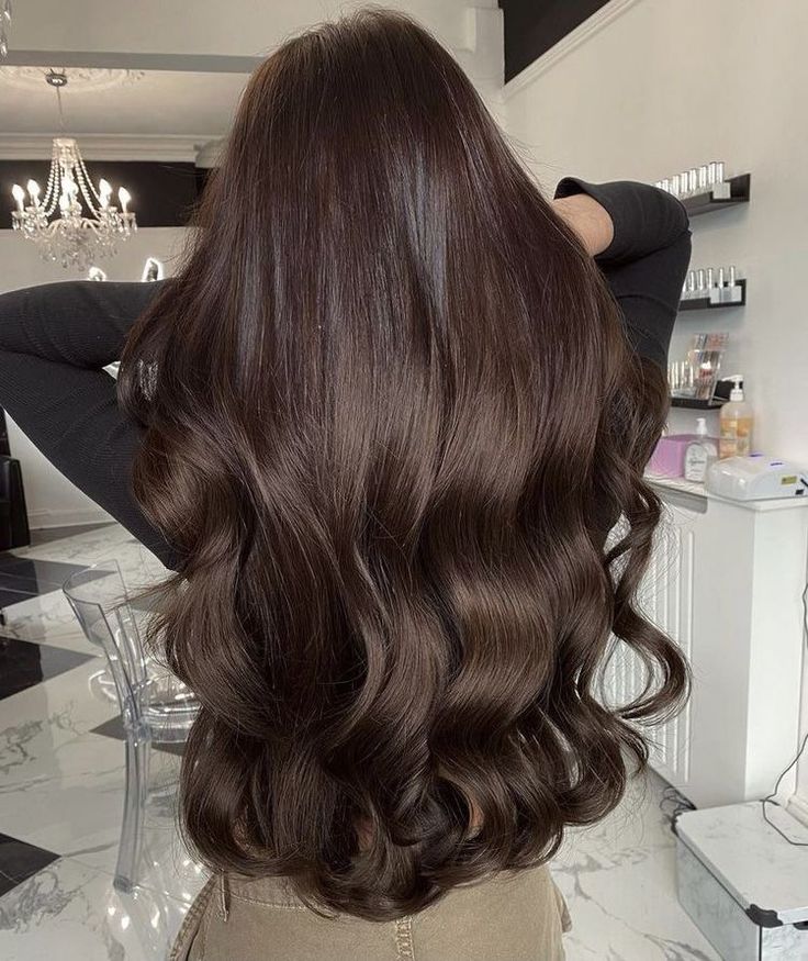 Warm Brown Hair, Dark Brunette Hair, Brown Hair Looks, Brown Hair Inspo, Long Healthy Hair, Chocolate Hair, Long Brown Hair, Hair Inspiration Color, Hair Inspo Color