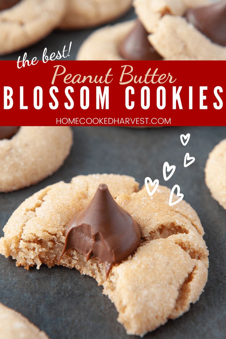 the best peanut butter blossom cookies