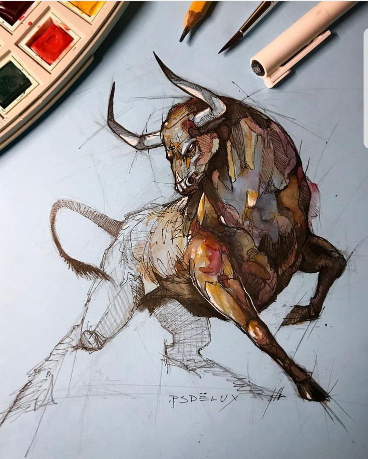 a drawing of a bull is shown on the table