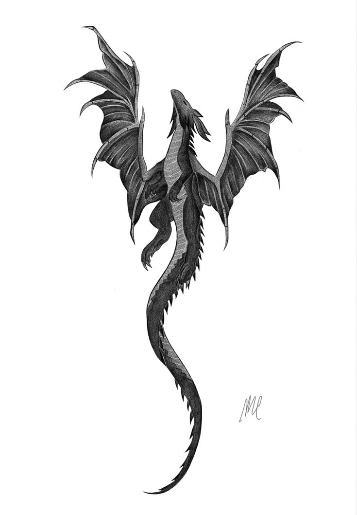 a black and white drawing of a dragon with its wings spread out, on a white background