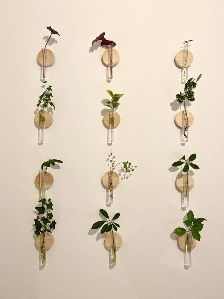 four vases with plants in them hanging on the wall