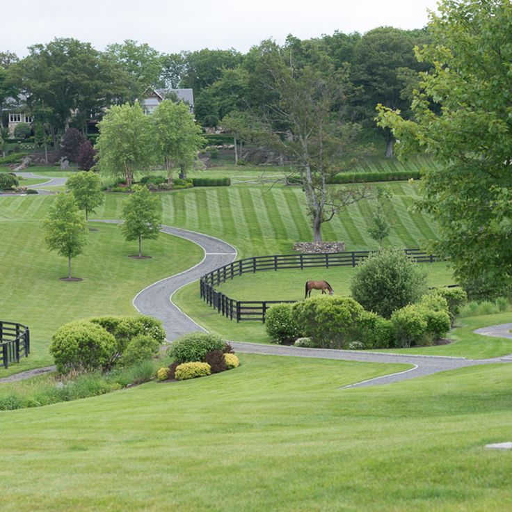 a horse grazing in the middle of a lush green field next to a winding road