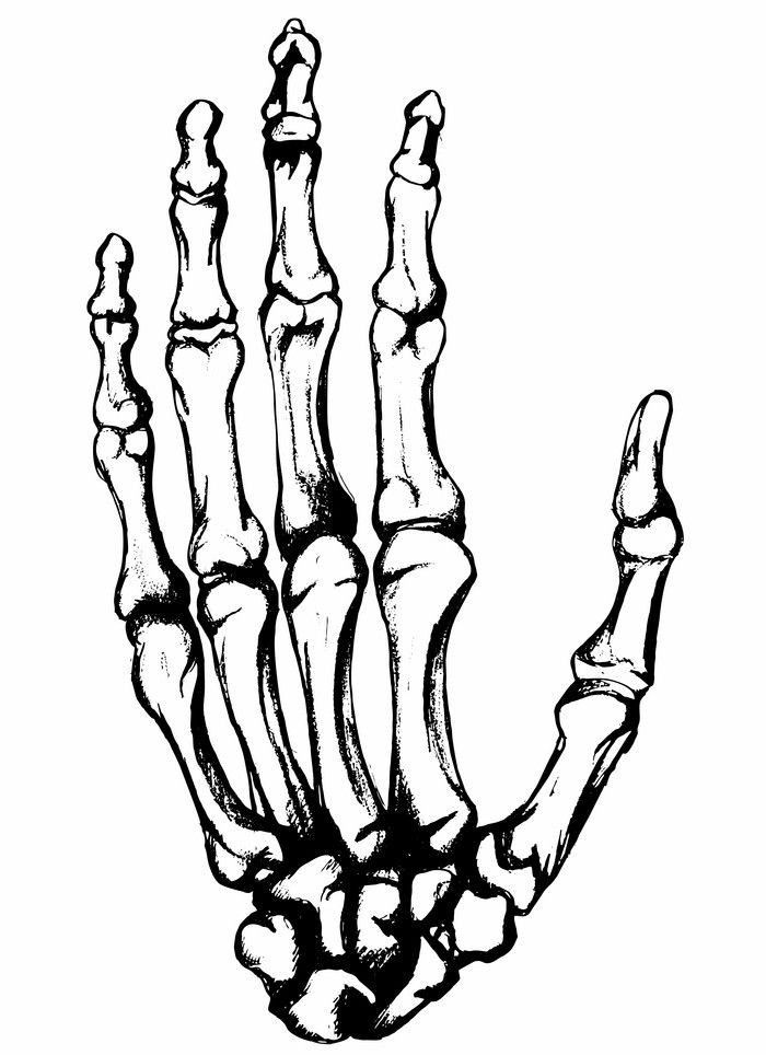 a skeleton hand is shown in black and white