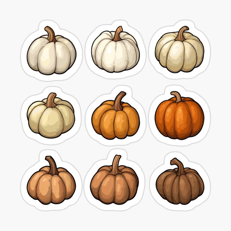 six different types of pumpkins sticker