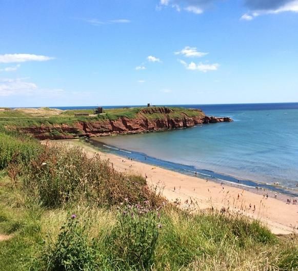 people are on the beach and in the water near some rocks, grass and sand