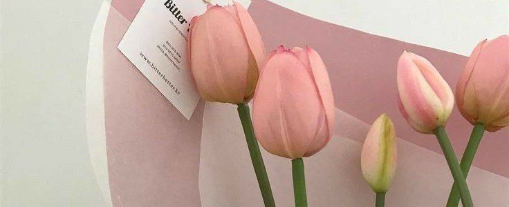 three pink flowers are in a vase on the wall with a price tag attached to it