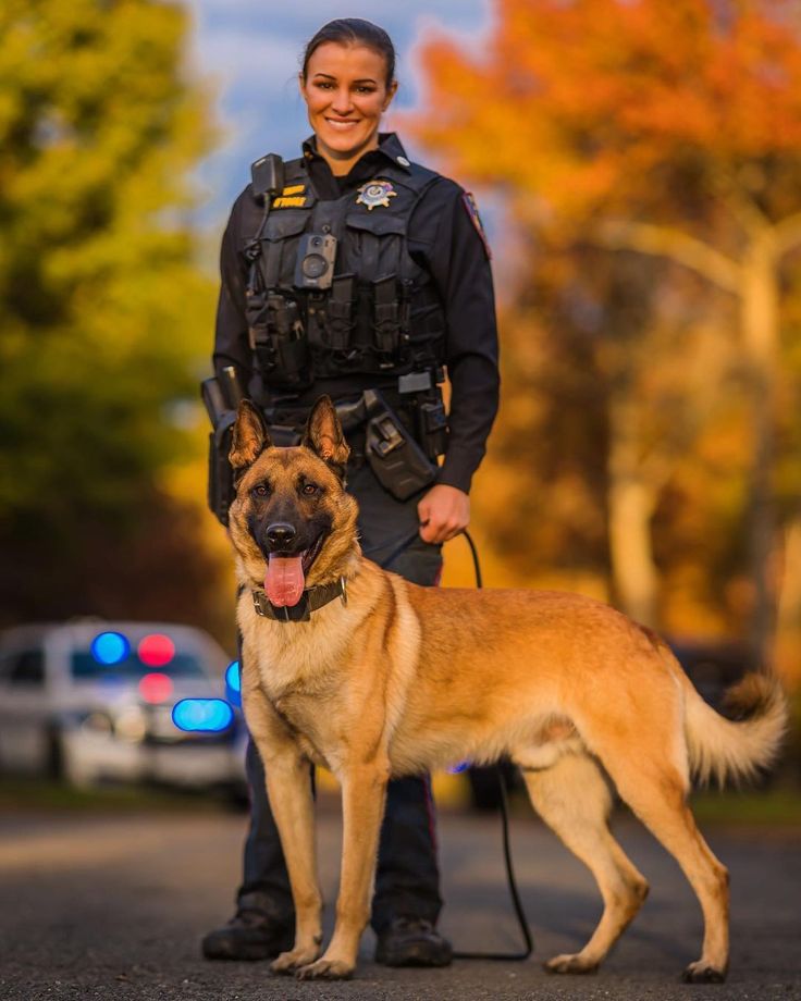 a woman police officer standing next to her dog