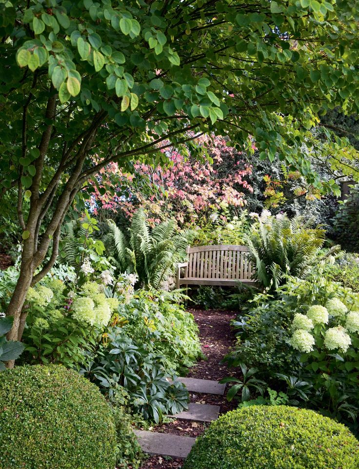 a wooden bench sitting in the middle of a garden