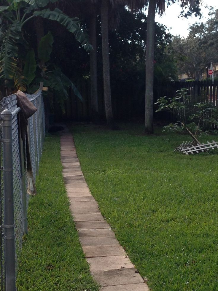 there is a dog that is standing on the grass near a fenced in area