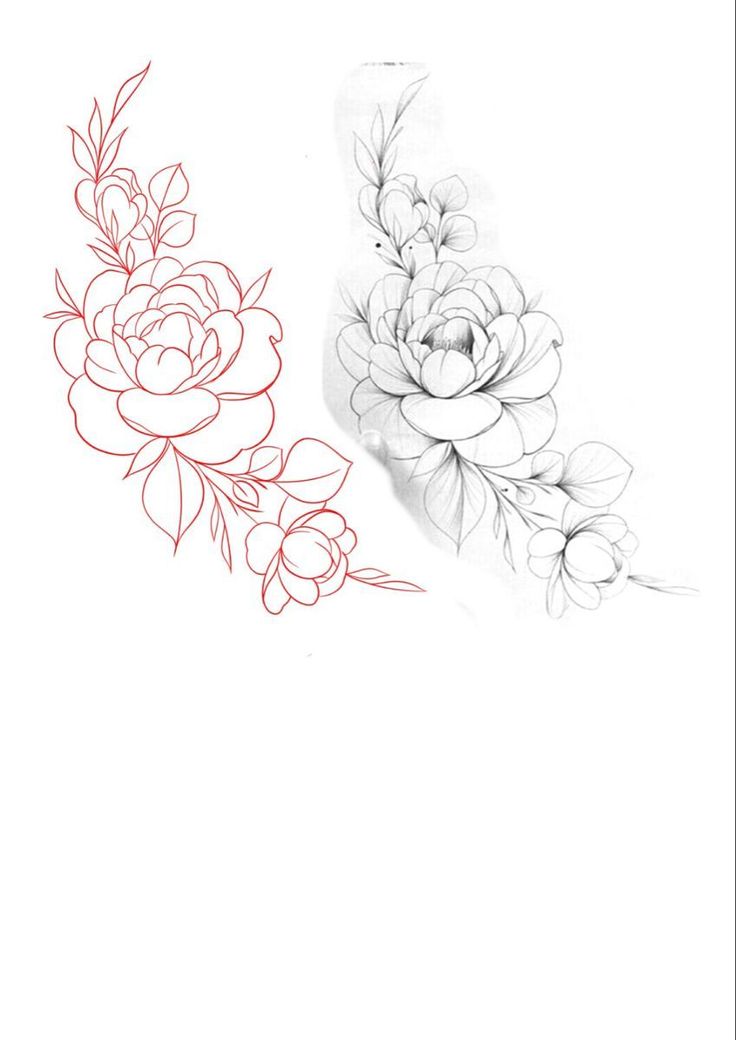 a drawing of two flowers on a white background