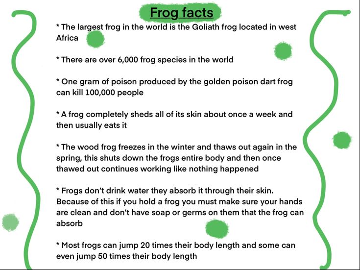 the frog fact is shown in green and white