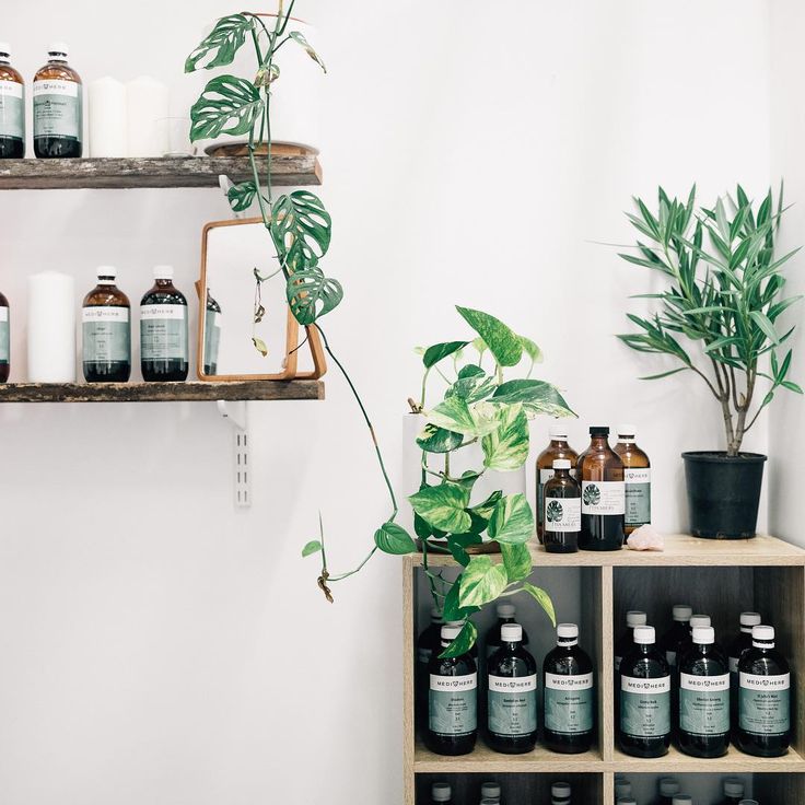 Naturopath Office, Naturopath Clinic, Clinic Room, Dreamy Space, Business Vision, Meditation Room Decor, Business Instagram, Office Inspo, Naturopathy