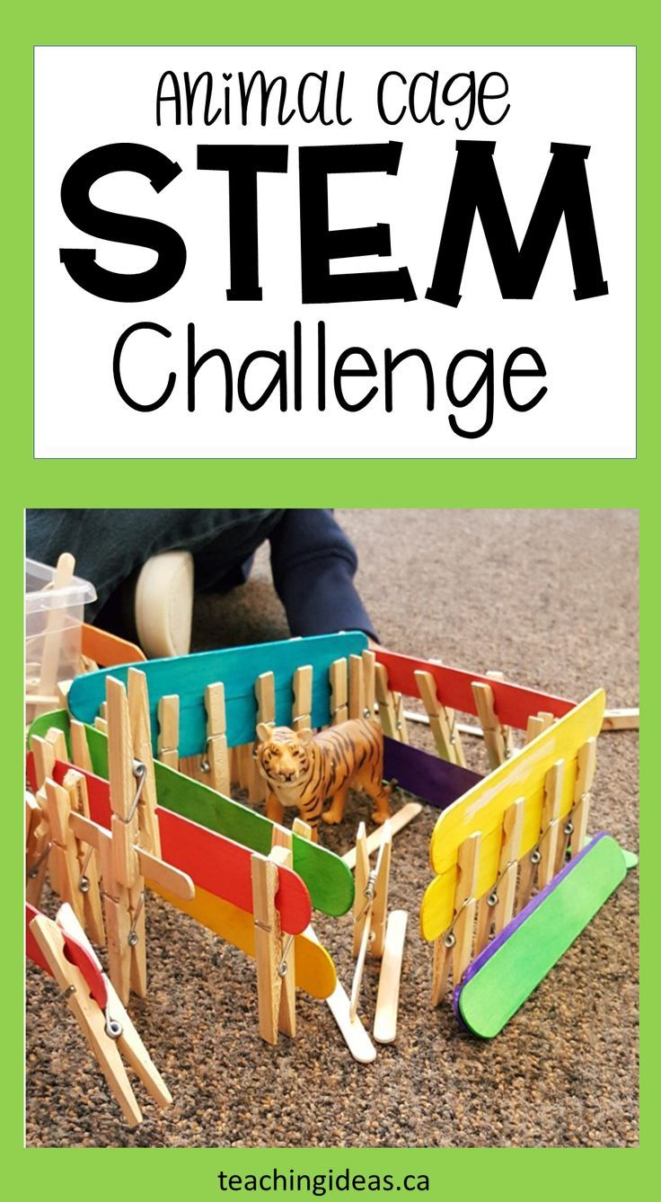 Challenge kids to create an animal cage using simple materials.  This STEM activity is perfect for the classroom or to fill an afternoon at home.  #stemactivitieselementary #stemactivities #stemactivitiespreschool #stemactivitiesforkids #stem Jungle Theme Stem Activities, Construction Summer Camp Ideas, Jungle Stem Activities, Stem Preschool, Elementary Stem, Stem Building, Stem Activities Preschool, Kindergarten Stem, Building Challenge