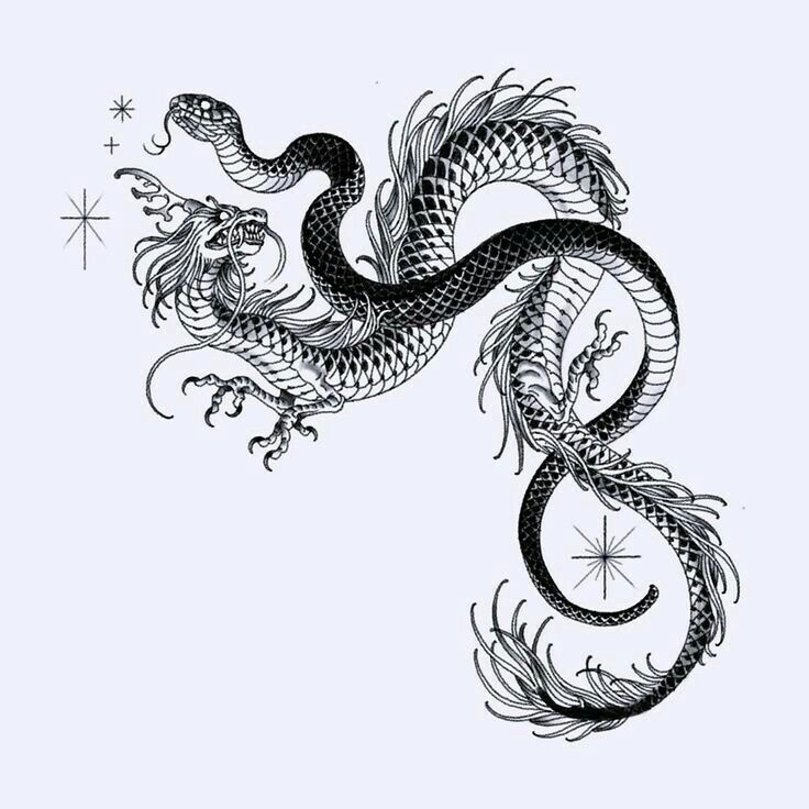 a black and white drawing of a dragon