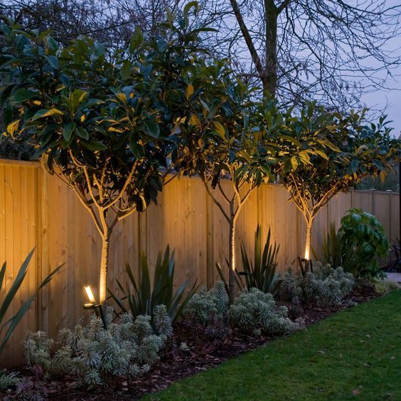 some trees and bushes are lit up by lights in the middle of a fenced area