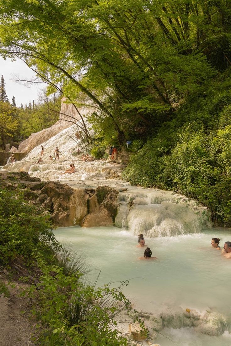 people are swimming in the water near some trees