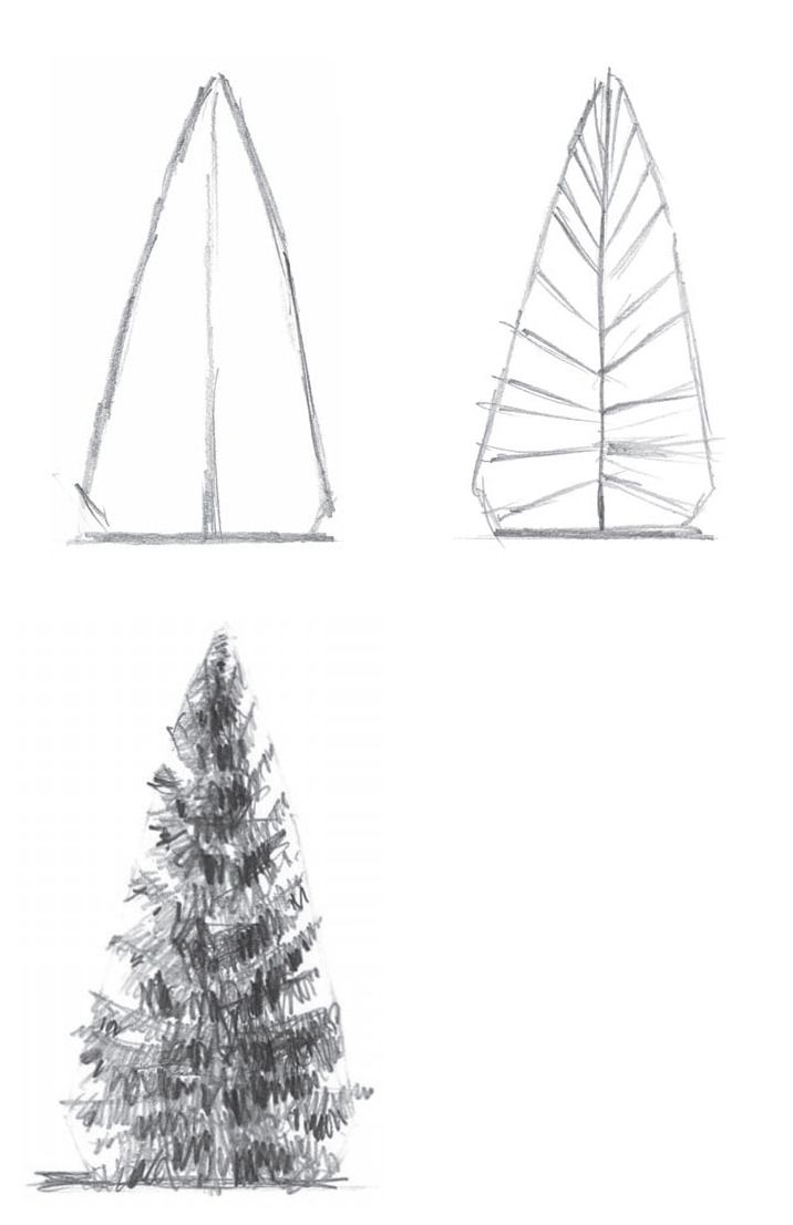 three different types of trees are shown in this drawing