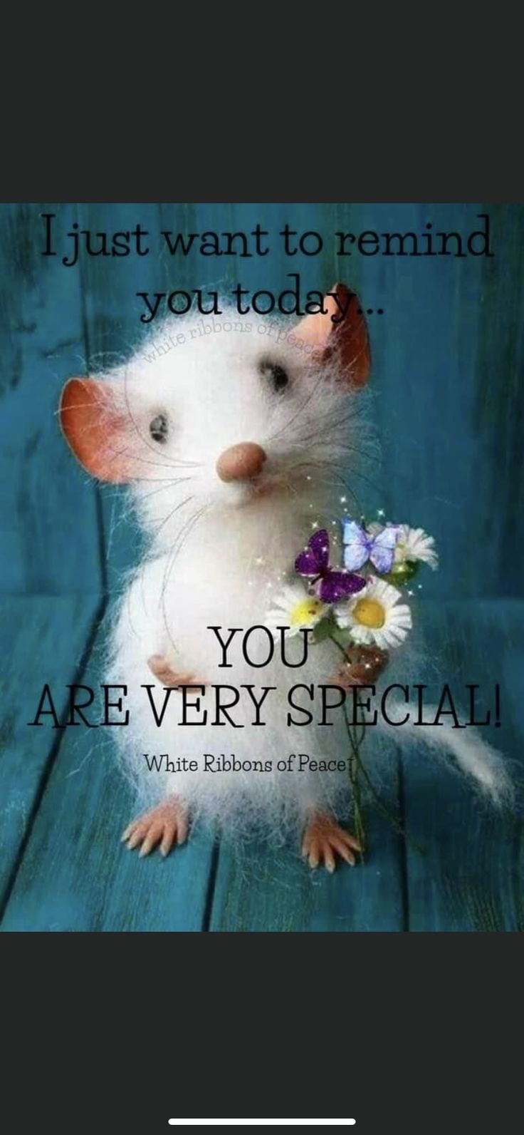 a white rat holding a flower on top of a wooden floor with the words you are very special