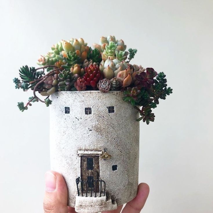 a hand holding a small pot with succulents and plants in it's center