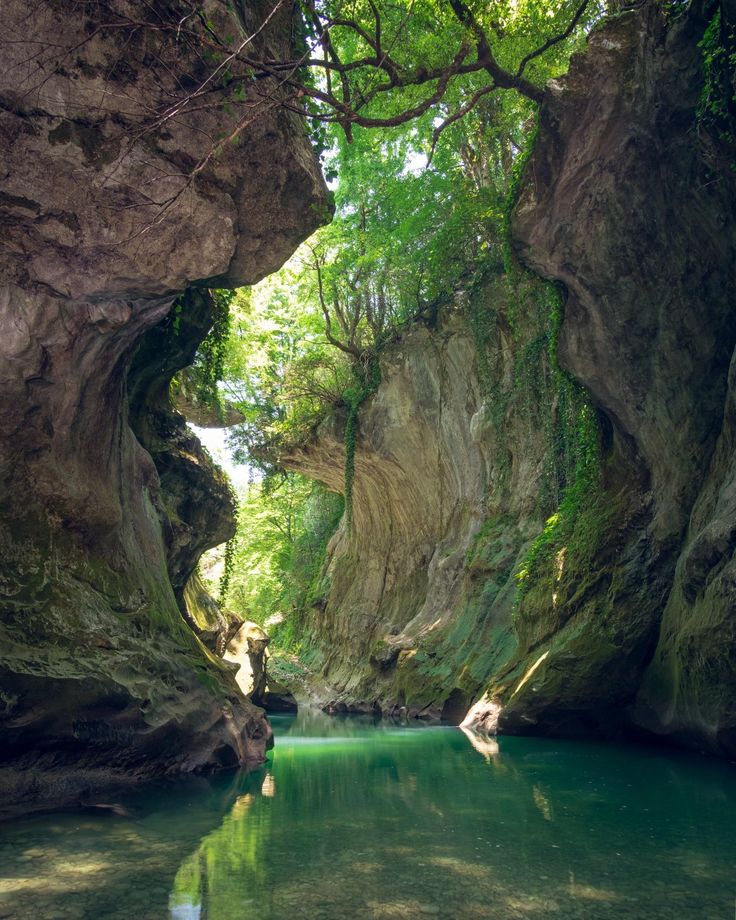 a narrow river in the middle of a rocky area with trees growing out of it