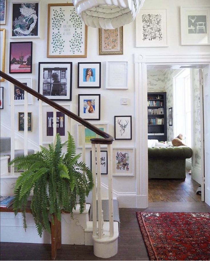 a staircase with pictures on the wall and a potted plant