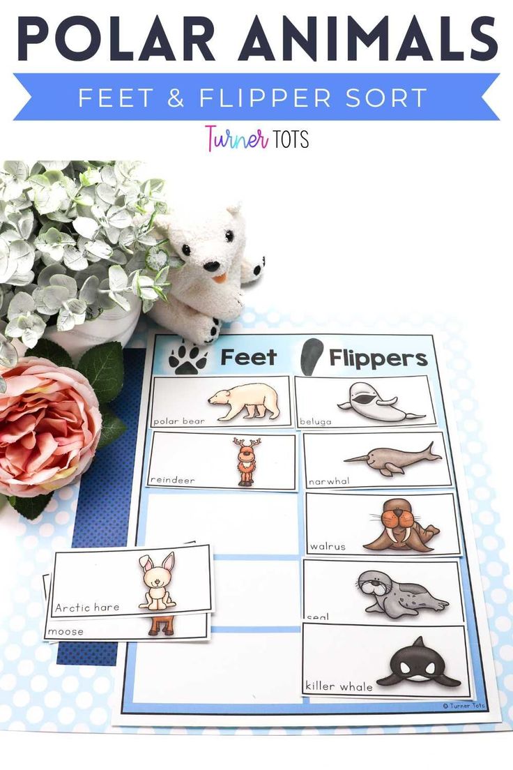 a polar animal activity sheet with flowers and stuffed animals on it for kids to learn