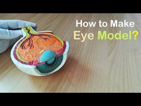 someone is making an eye model out of felt