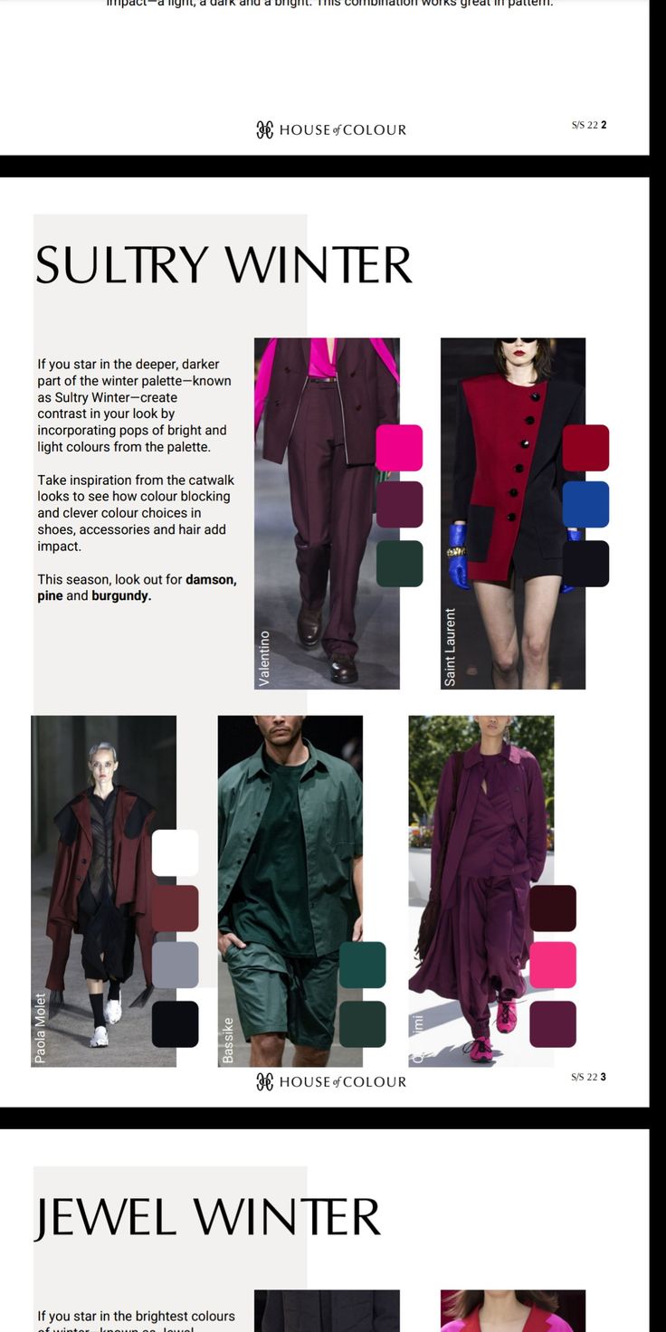 Burnished Sultry Winter, Sultry Winter Color Palette, House Of Colour Sultry Winter Outfits, Dark Winter Color Combinations, Sultry Winter Outfits, Sultry Winter House Of Colour, Deep Winter Color Outfits, Dark Winter Color Palette Outfits, Dark Winter Outfits