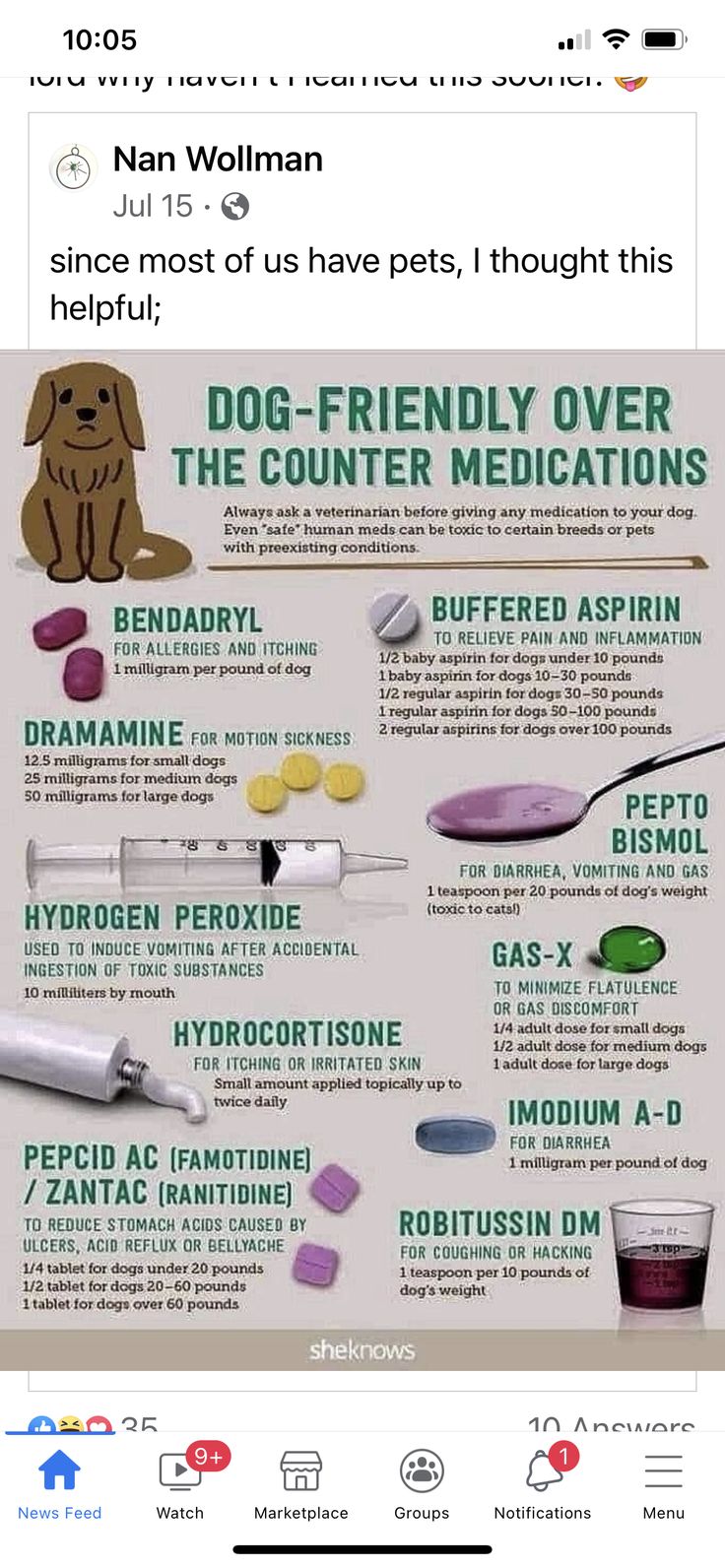 a poster with instructions on how to use the dog - friendly medicine pill bottle for dogs