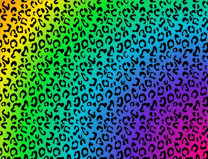 a rainbow leopard print background with black spots on the top and bottom half of it