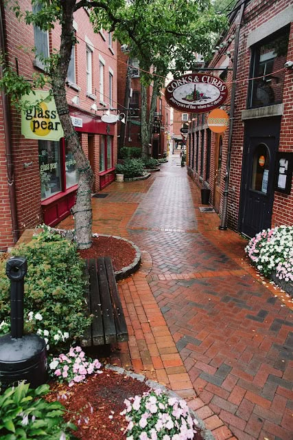 a brick street with flowers and trees on both sides, surrounded by red brick buildings